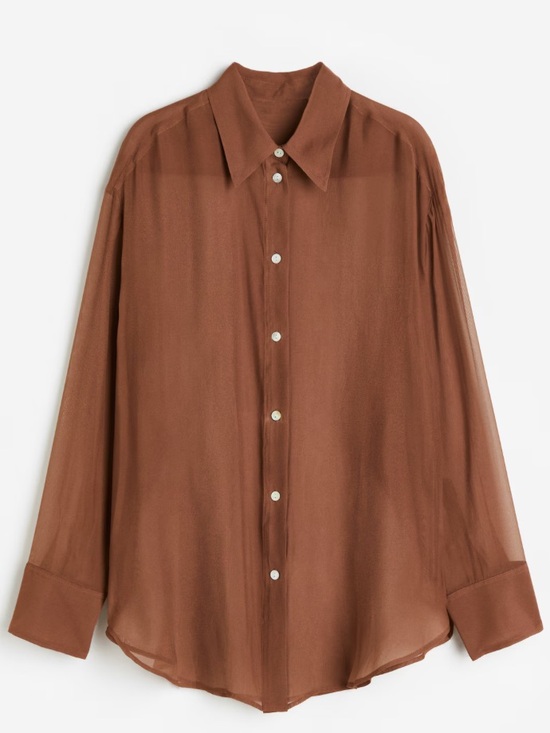H&M Tops - H&M Sheer Button Up Blouse